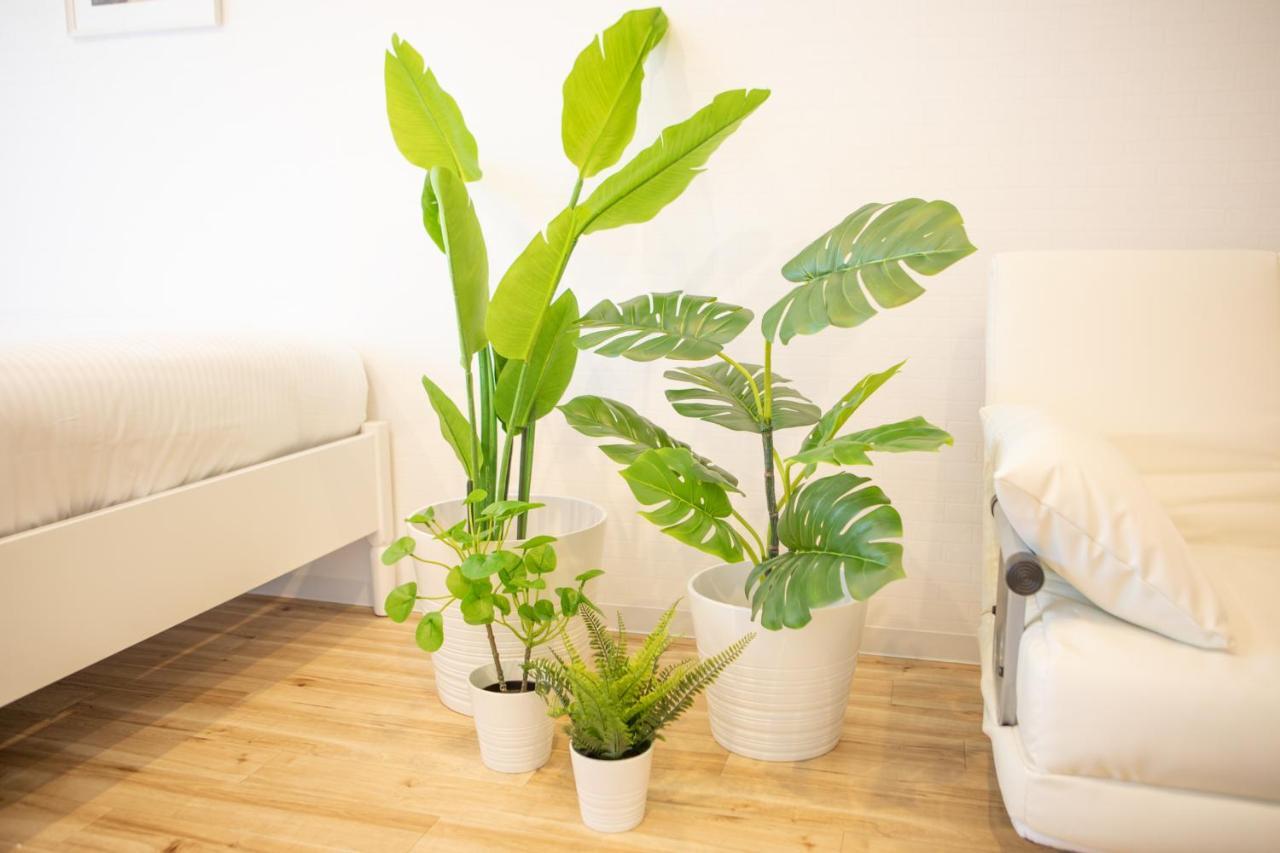 Apartament Komagome Cozy *